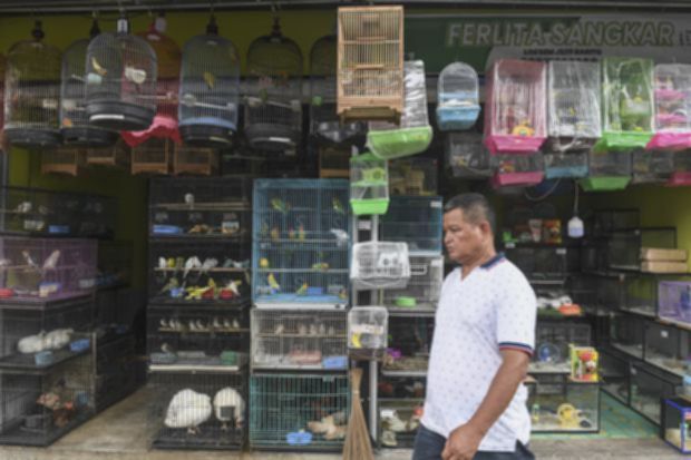 908e535b0455941f89b4aee34d54c1a4