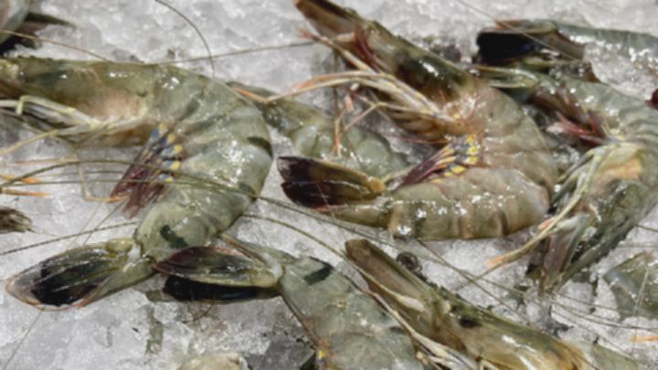 a98e7ff4d237beeee95f0d3928b69b23