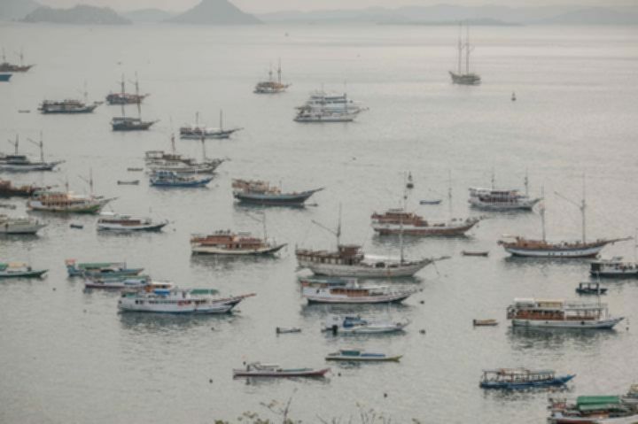 d0ee0116dfe37977d36982ecca88d637