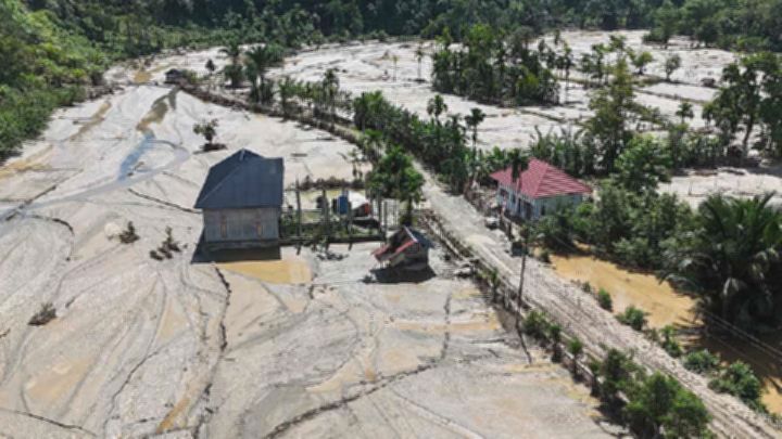 cd62f3ed42ab75bf963578223e6c7918