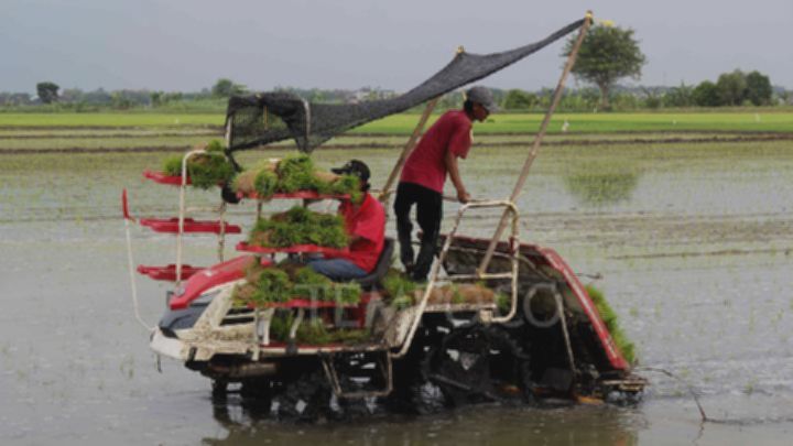 46ba2a5a5b920b2e2852497c795b5be5