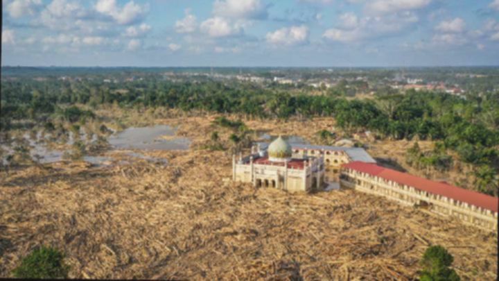 Banjir Sumatera: 31 izin kehutanan terbit dalam 1 dekade