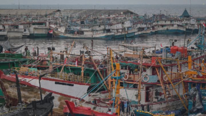 c043688d88e6e0d3d793f07a719126b6