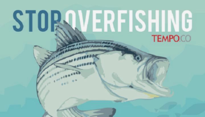 e445498591bc2198a38c4967a90aa89d