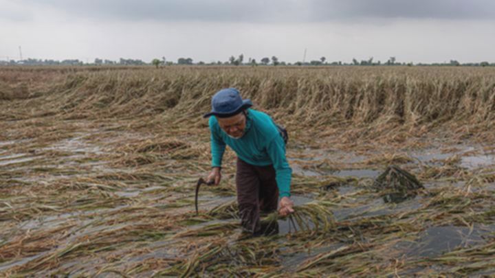 52632951d9774c40692e73ad4a7fe421