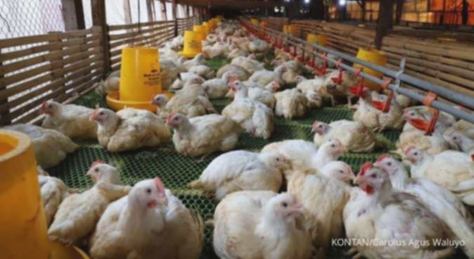 cde6daa48c28e4701d082a078d6da856